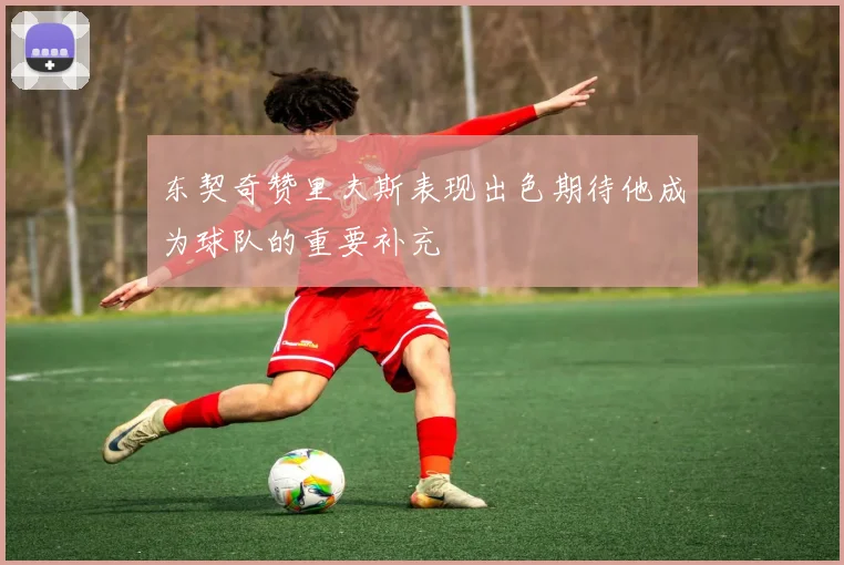 东契奇赞里夫斯表现出色期待他成为球队的重要补充