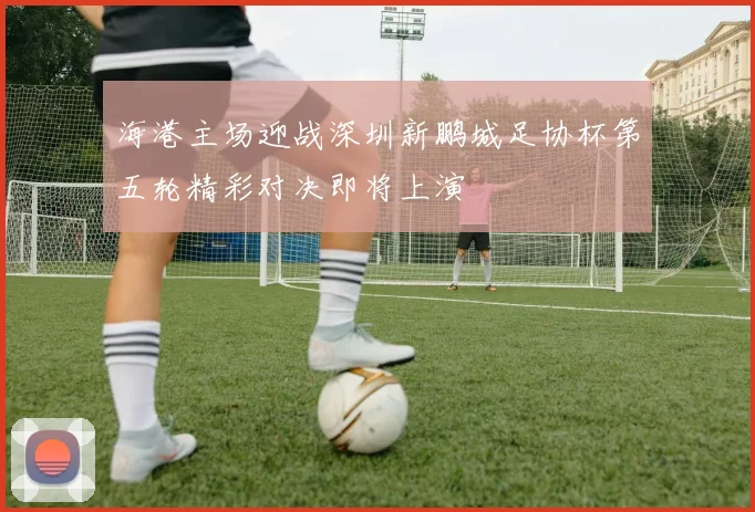 海港主场迎战深圳新鹏城足协杯第五轮精彩对决即将上演