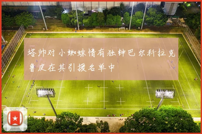 塔帅对小蜘蛛情有独钟巴尔科拉克鲁皮在其引援名单中